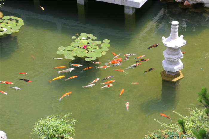 中式別墅花園06