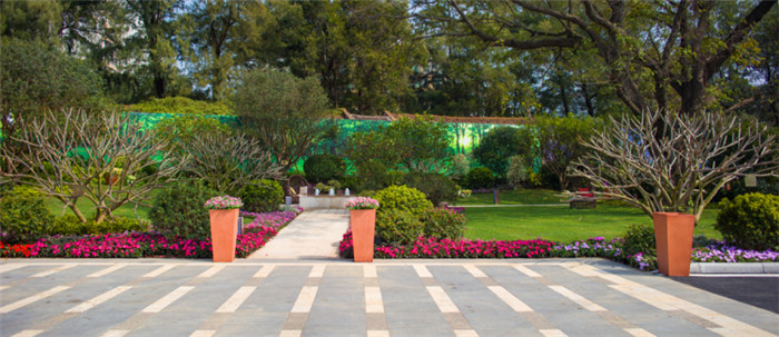 會所花園