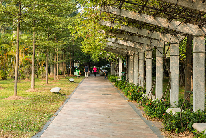 【庭院元素】花園廊架——春開花顏，夏落涼蔭