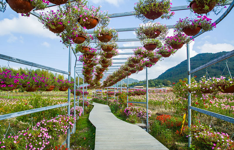 【庭院元素】花園廊架——春開花顏，夏落涼蔭