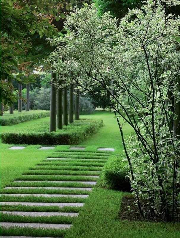 花園小徑，帶你探索花園里的一步一景