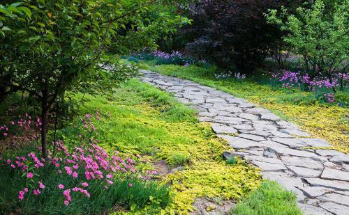 花園小徑，帶你探索花園里的一步一景