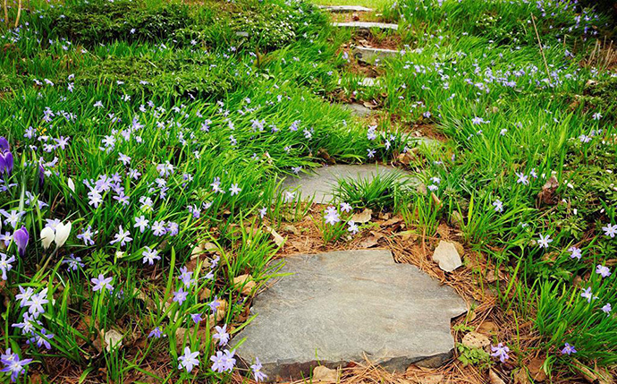 花園小徑，帶你探索花園里的一步一景