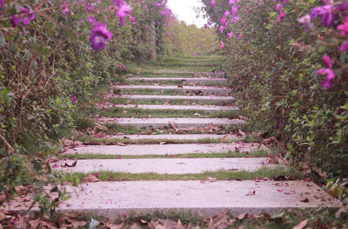 花園小徑，帶你探索花園里的一步一景