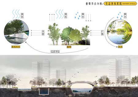 重要節(jié)點—生態(tài)補水系統（剖）