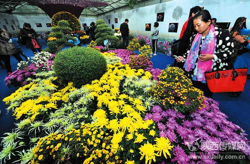 西安植物園舉辦“菊花文化與鑒賞”講座