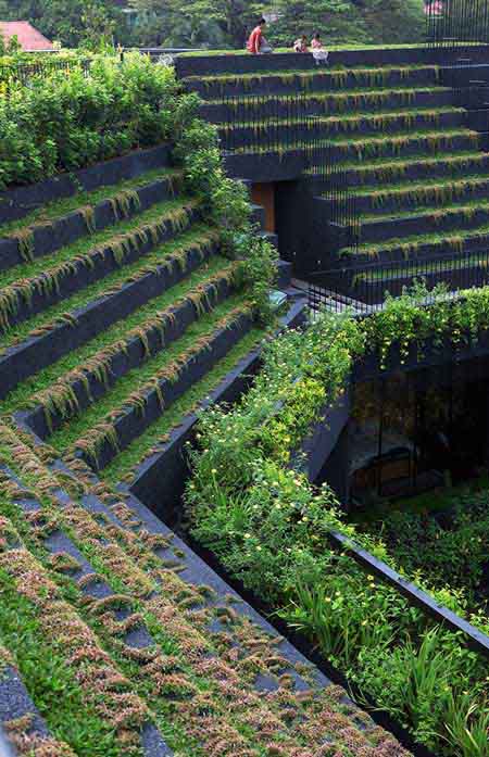 新加坡康沃爾花園住宅景觀設計